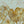 Papel Tapiz Monstera Twin Wall - Tienda Interni