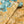 Papel Tapiz Petunia Twin Wall - Tienda Interni