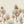 Papel Tapiz Tilia Twin Wall - Tienda Interni