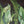 Papel Tapiz Tropical Forest Mural - Tienda Interni