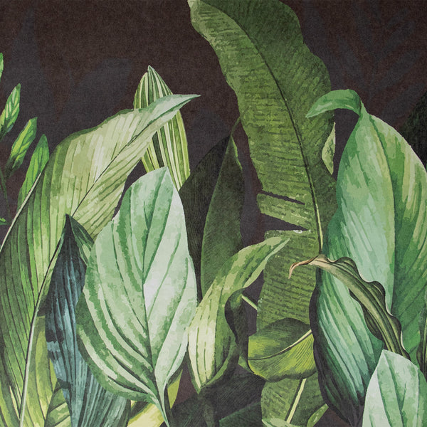 Papel Tapiz Tropical Forest Mural - Tienda Interni