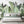 Papel Tapiz Tropical Forest Mural - Tienda Interni