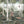 Papel Tapiz Wild Forest Mural - Tienda Interni