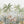 Papel Tapiz Wild Jungle Mural - Tienda Interni