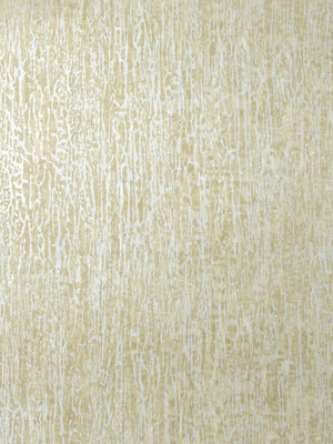 Papel Tapiz Base - Tienda Interni