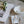 Papel Tapiz Bo - Tienda Interni