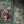 Papel Tapiz Carnation Garden - Tienda Interni