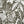 Papel Tapiz Elephant Leaf - Tienda Interni
