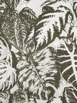 Papel Tapiz Elephant Leaf - Tienda Interni