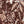 Papel Tapiz Elephant Leaf - Tienda Interni