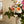 Papel Tapiz Ellen - Tienda Interni