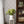 Papel Tapiz Ellen - Tienda Interni