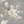 Papel Tapiz Floral Charm - Tienda Interni