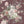 Papel Tapiz Floral Charm - Tienda Interni