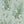 Papel Tapiz Fox Glove - Tienda Interni
