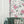 Papel Tapiz French Roses - Tienda Interni