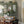 Papel Tapiz Helens Flower - Tienda Interni