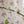 Papel Tapiz Ink Bamboo - Tienda Interni