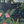 Papel Tapiz Jungle Wall - Tienda Interni