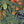 Papel Tapiz Jungle Wall Animals - Tienda Interni