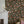 Papel Tapiz Kamelia - Tienda Interni