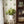 Papel Tapiz Krusenberg - Tienda Interni