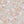 Papel Tapiz Lily Tree - Tienda Interni