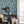 Papel Tapiz Lily Tree - Tienda Interni