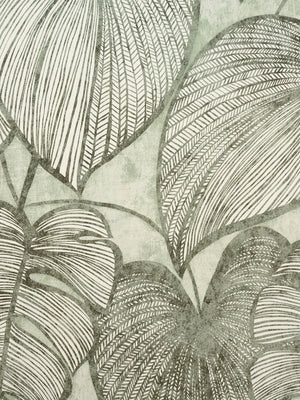 Papel Tapiz Monstera - Tienda Interni