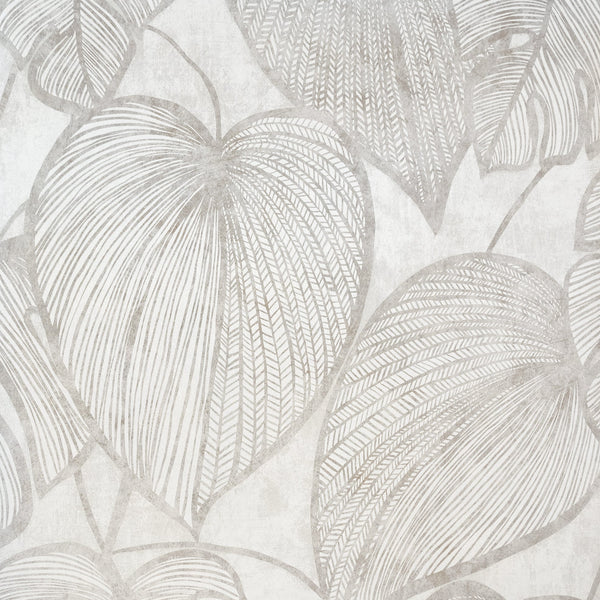 Papel Tapiz Monstera - Tienda Interni