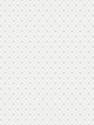 Papel Tapiz Windrose - Tienda Interni