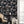 Papel Tapiz New Dawn Rose - Tienda Interni