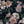 Papel Tapiz New Dawn Rose - Tienda Interni