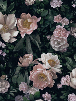 Papel Tapiz New Dawn Rose - Tienda Interni