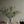 Papel Tapiz Painters Wall - Tienda Interni