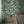 Papel Tapiz Palm Leaf - Tienda Interni