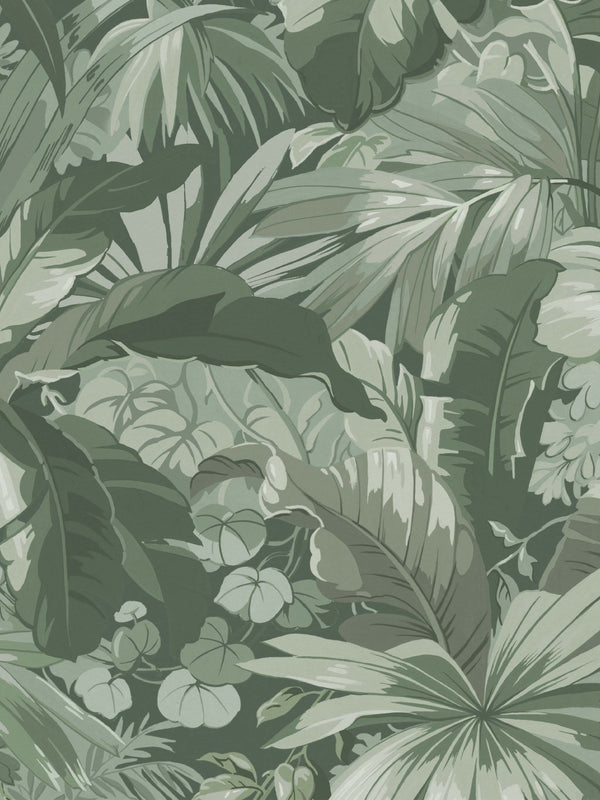 Papel Tapiz Palm Leaf - Tienda Interni