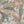 Papel Tapiz Palm Leaf - Tienda Interni