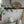 Papel Tapiz Picnic Check - Tienda Interni