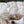 Papel Tapiz Poppy Flow - Tienda Interni
