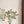 Papel Tapiz Prairie Rose - Tienda Interni