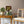 Papel Tapiz Rosevinge - Tienda Interni