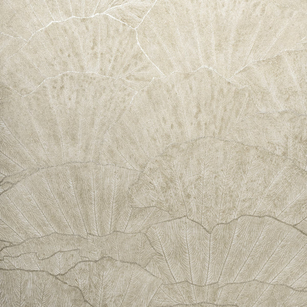 Papel Tapiz Seashell - Tienda Interni