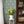 Papel Tapiz Sofia - Tienda Interni