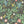 Papel Tapiz Spring Garden - Tienda Interni