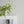 Papel Tapiz Tassel - Tienda Interni