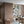 Papel Tapiz Temple Tree - Tienda Interni
