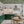 Papel Tapiz Tree Canopy - Tienda Interni