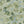 Papel Tapiz Tree Canopy - Tienda Interni