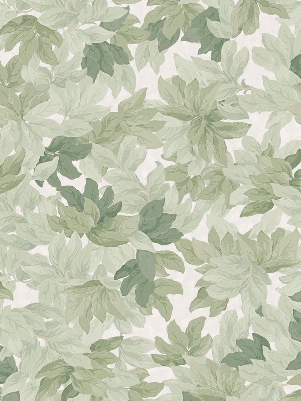 Papel Tapiz Tree Canopy - Tienda Interni